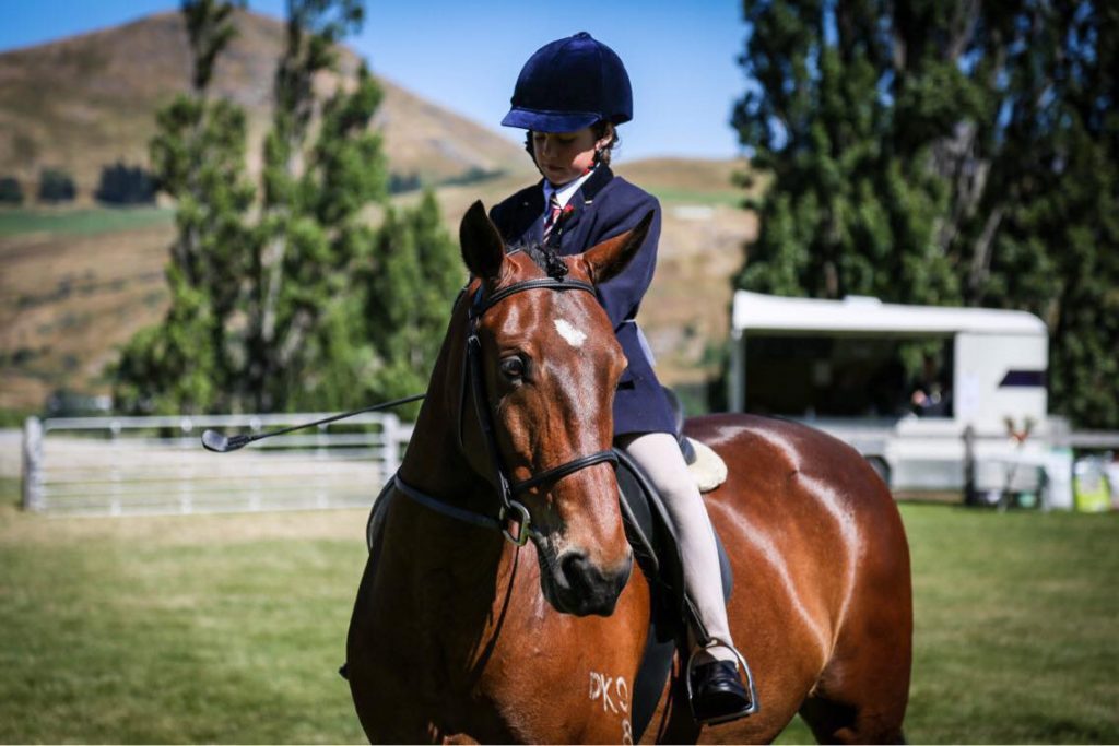 A M Equestrian A M Equestrian Academy