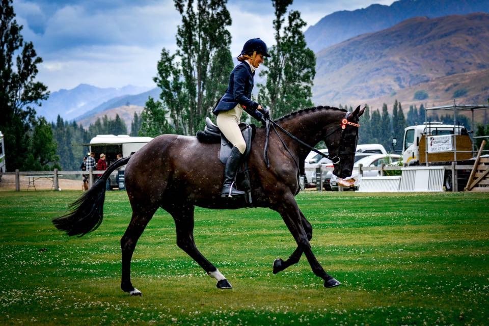 A M Equestrian A M Equestrian Academy